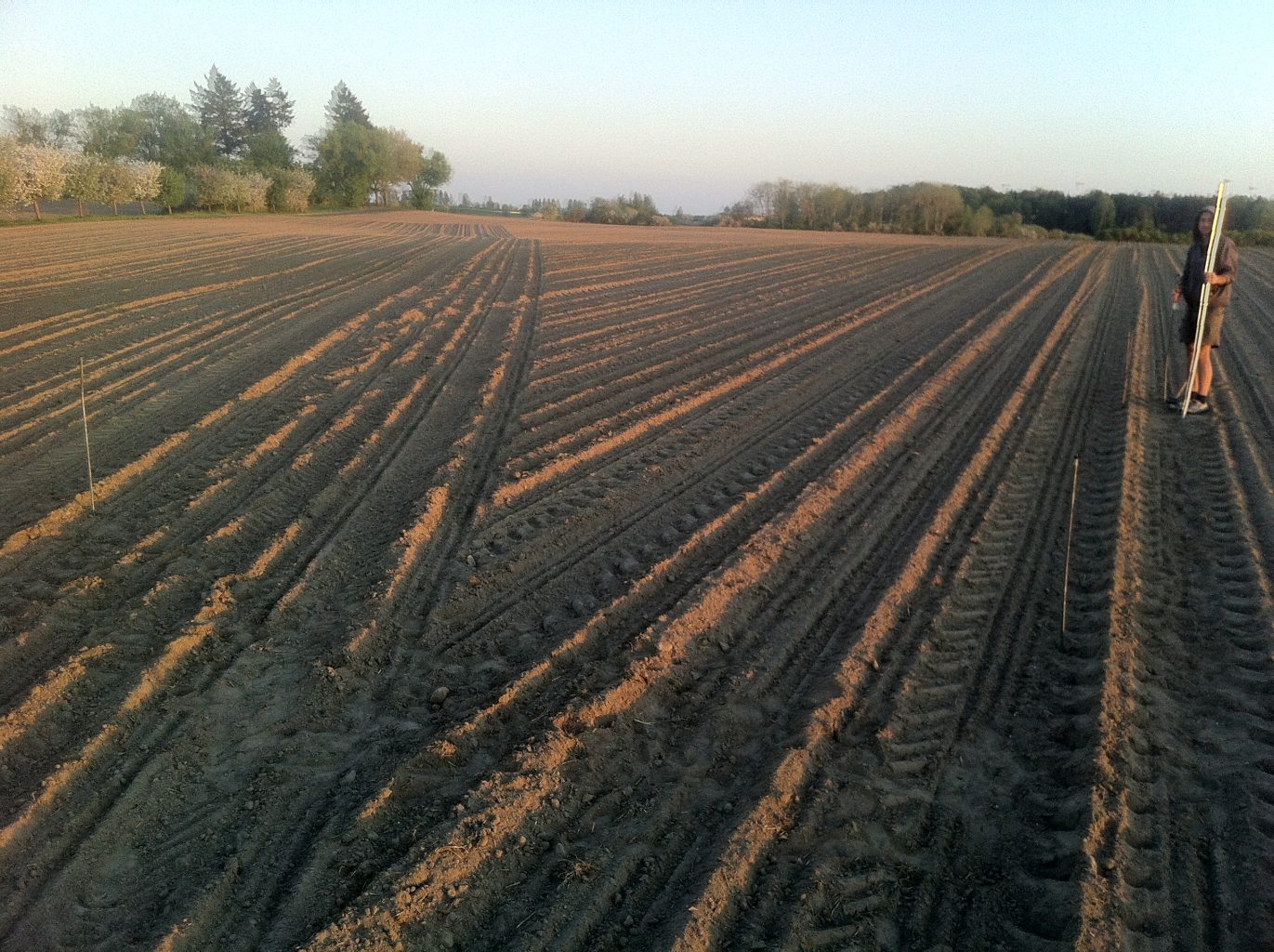 Original position of Acre in the corn field